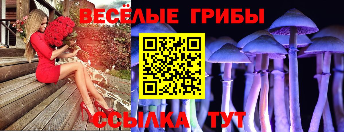 Псилоцибиновые грибы GOLDEN TEACHER Ханты-Мансийск