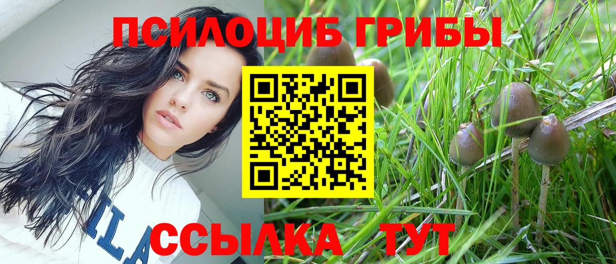 Ханты-Мансийск  Галлюциногенные грибы мицелий  Вход с VPN 